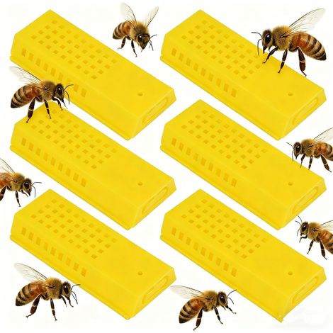 Cages pour Reines des Abeilles en Plastique - Ensemble de 6 Cages d’Élevage de Reine, Outils d’Apiculture, Cages de Transport et d’Introduction pour Abeilles, Taille 8 x 3,5 cm (1/5)