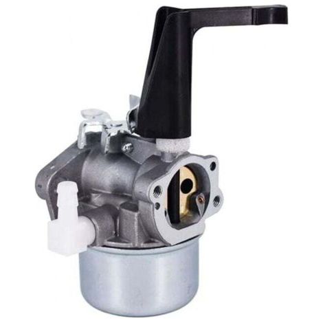 Carburateur pour 696065 697422 110402 215369 de Rechange Moteur Motoculteur (1/4)