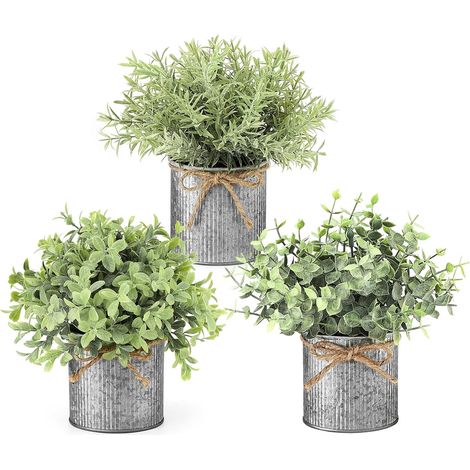 Kleine Topfpflanzen & 3er-Packung - Kleine Topfpflanzen & 3er-Packung - Kleine Topfpflanzen & 3er-Packung (1/5)