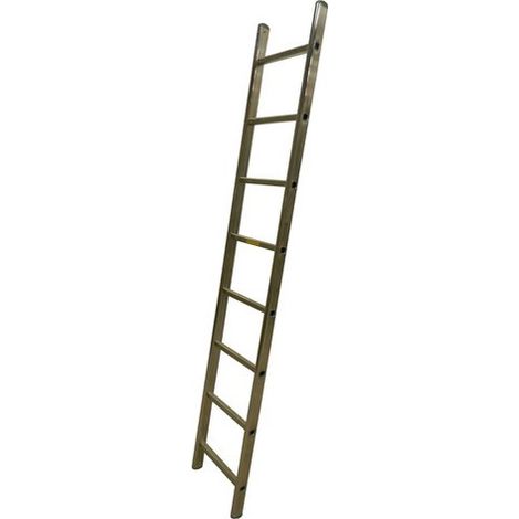 Scala Inox 6 pioli - Lunghezza 1.80m - 12G/I