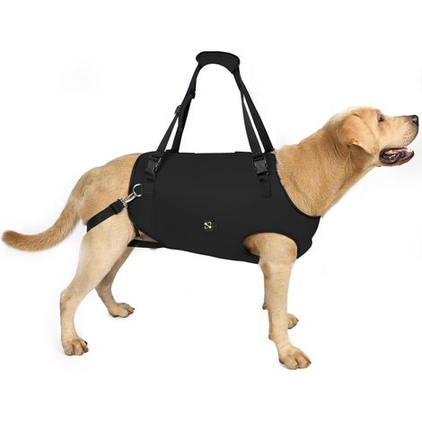 1 Harnais De Levage Pour Chien,Sangles Ajustables Rembourrées Respirantes,Support Rééducation Arthrite Blessures,Chiens Âgés Handicapés