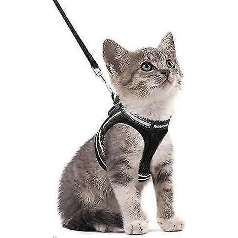 Harnais pour chat avec laisse, harnais respirant pour chaton avec bandes réfléchissantes (1/5)