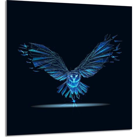 Panneau de verre POUR la cuisine 60x65 Oiseau (1/5)