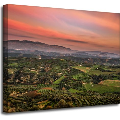 Leinwanddruck Naturpanorama des Hochlands 50x40 cm