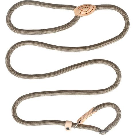 Laisse Dressage et Collier, Réfléchissante, Coulissante, Lasso en Nylon 150cm pour Chiens Petits et Moyens - Beige (1/5)