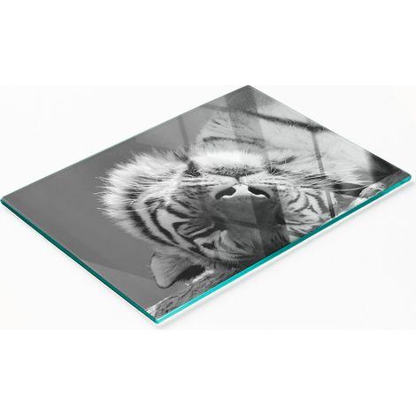 Tabla decorativa de cristal para servir aperitivos con dise帽o de tigre durmiendo, 80x52 cm.