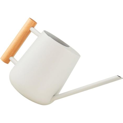 Arrosoir pour Plantes D'intérieur en INOX 900ml Arrosoir pour Bonsaï Usage Maison Long Bec Verseur Précis Arrosage De Fleurs Et Jardin Intérieur (1/5)