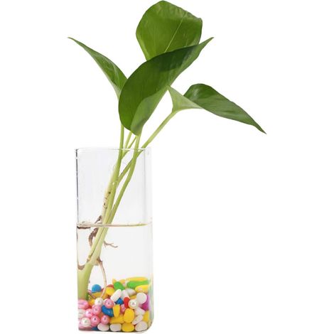 Vase en Verre Suspendu, Plantes Fleurs Vase en Verre Mur hydroponique Aquarium conteneur décor à la Maison (Long Tube Shape) (1/5)