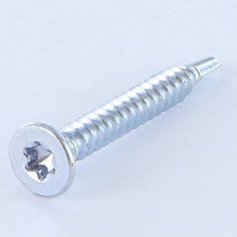 Vis autoperceuse Tête fraisée TORX T25 4.8X38 Acier zingué-30 pièces