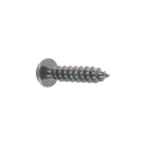 Vis parker tête creuse Torx 20mm GGP - CASTELGARDEN 112728680/0 (1/2)