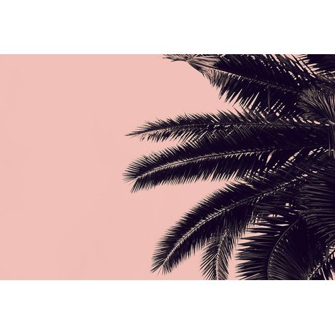 Papier peint panoramique style californien Tapisserie panoramique rose et noir Papiers peints panoramiques palmiers pour salon (1/2)