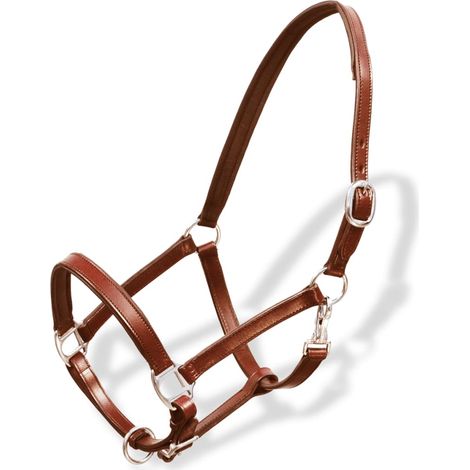 Echtleder Halfter Stallhalfter verstellbar braun Pony
