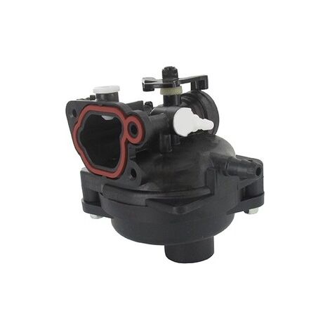 Carburatore Briggs et Stratton 591979 - 595656