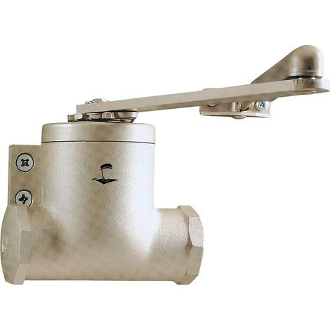 Groom – Ferme-porte classique bras compas force 3 – Coloris champagne – Pour portes jusqu'à 80kg – Système de fermeture à ressort (1/5)