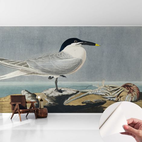 Selbstklebende Tapete modern Wohnzimmer - Wanddeko Schlafzimmer - Tapete mit Motiv Ornithologische Eleganz 416x254 cm (1/5)