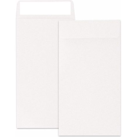 100 enveloppes pour espèces, 8,9 x 16,5 cm, contenant espèces, pièces de monnaie, chèques et petits objets, cartes de crédit, graines (1/5)