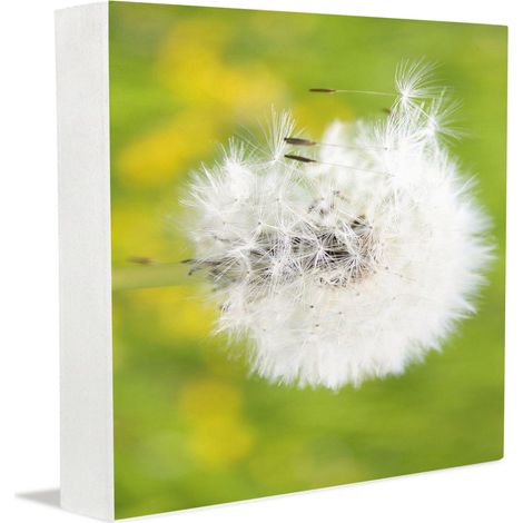 Plaque commémorative, décoration de bureau pour homme, panneau en bois décoratif pour maman, papa, petit ami, cadeau d'anniversaire. (1/5)