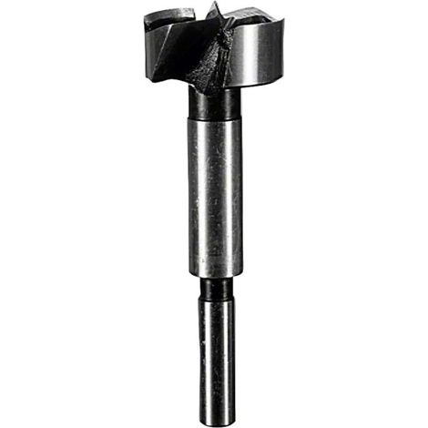 Bosch Zubehör - Forstnerbohrer, Durchmesser 50 mm 2608597121