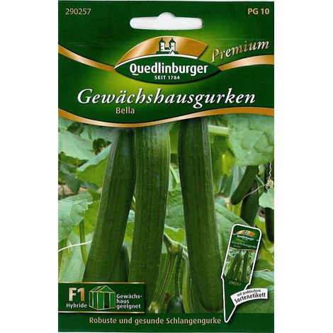 Quedlinburger Gewächshausgurken Bella - Gemüsesamen (1/2)
