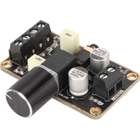Amplificateur Audio Stéréo 5V 2x5W pour Haut-Parleurs DIY, Double Canal (1/5)
