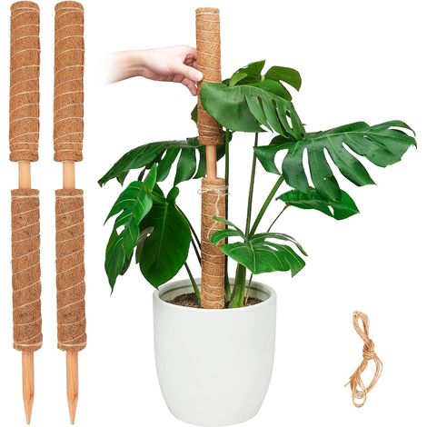 Poste de musgo, soporte extensible para plantas, estacas para plantas de interior en maceta, enrejado de fibra de coco de 40 cm para pothos y otras plantas trepadoras. (1/5)