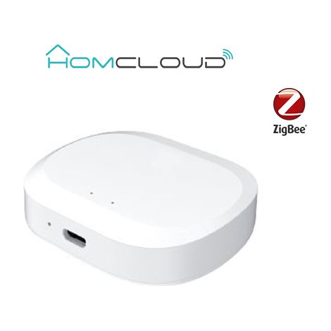 Centralina intelligente Hub - Zigbee/WIFI