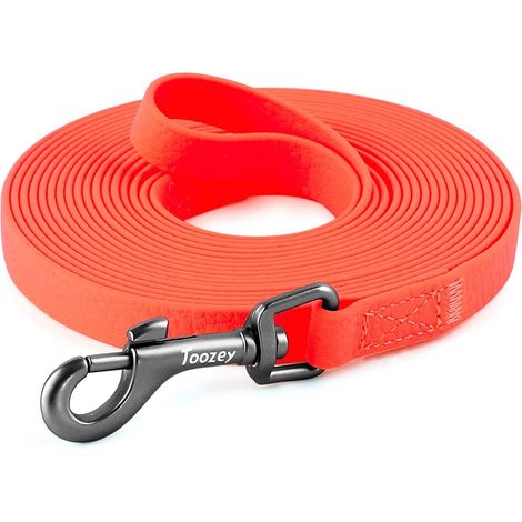 Laisse pour Chien Robuste et Imperméable - Laisse de Dressage Longue et Antidérapante pour Activités en Extérieur (1/5)