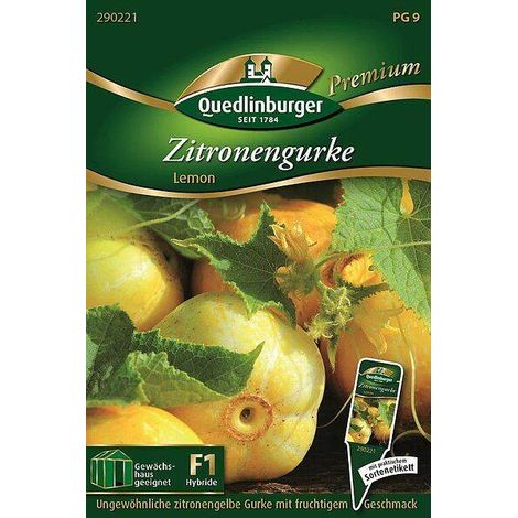 Quedlinburger Zitronengurke Lemon - Gemüsesamen