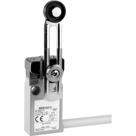 Panasonic MEM1G51ZD MEM1G51ZD Endschalter 24 V 5 A Rollenhebel mit Schraubgewinde IP67 1 St.
