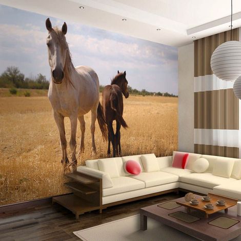 Papier peint cheval et poulain - 400 x 309 cm (1/4)