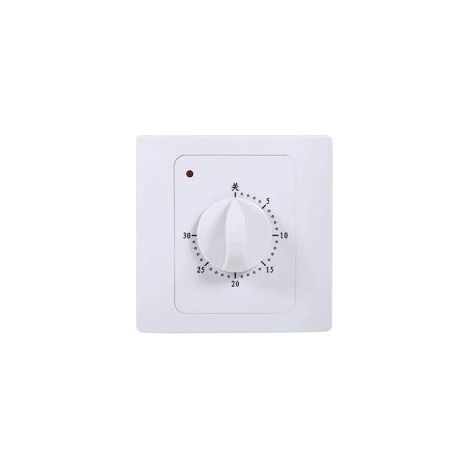Minuterie Mécanique - Minuterie Électrique Digitale - Pour Pompe À Eau Et Appareils Électroménagers - 1 À 30 Minutes - 1 Pièce