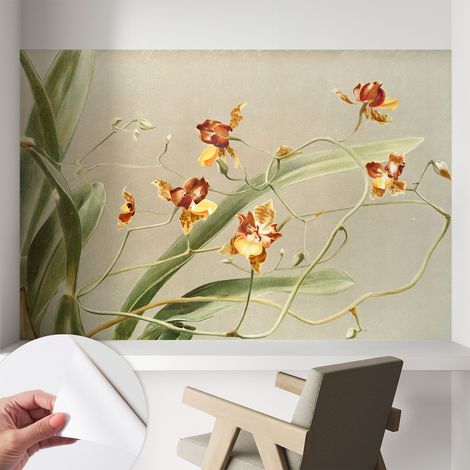 Papier peint autocollant adhésif installation rapide du papier peint durable et résistante Orchidées classiques 104x70 cm (1/5)
