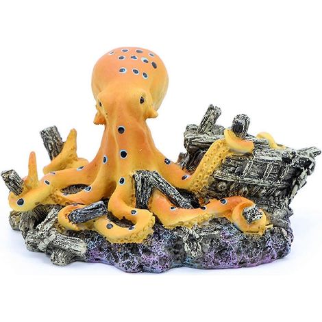 Accessoires pour aquarium, accessoires pour aquarium près de chez moi, liste d'accessoires pour aquarium, décorations pour aquarium, accessoires pour aquarium pas chers (1/5)