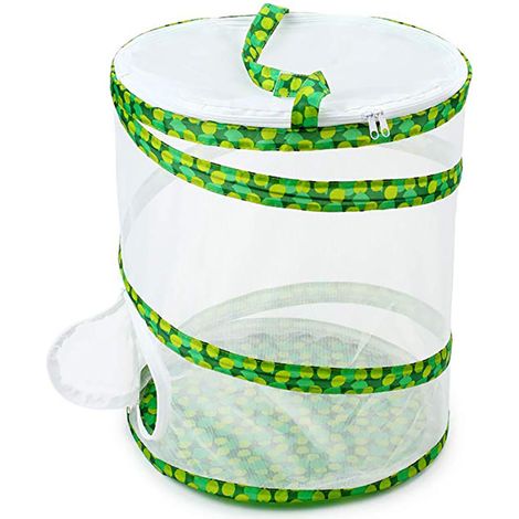 Cage d'élevage pliable pour insectes et papillons (1/5)