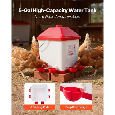 Abreuvoir Automatique pour Poules 19 L Distributeur d'Eau à (1/5)