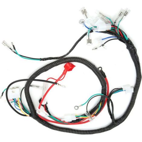 Faisceau Câblage Moteur GY6 - Compatible Moteurs 125cc Et 150cc - Pour Quads Bila - Kit Complet - 1 Pièce (1/5)