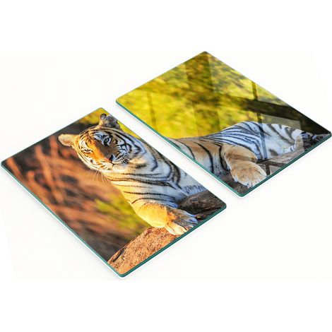 Tablas de servir de cristal para cocina con gr谩fico de retrato de tigre, 2x40x52 cm