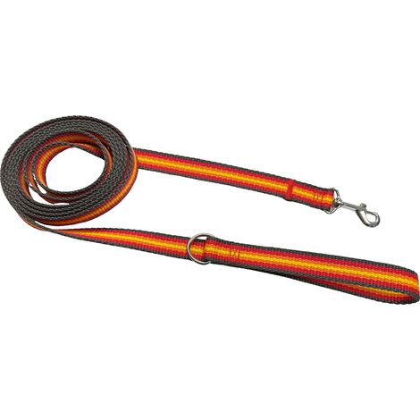 Correa clásica para pasear perros, sólida, cómoda, grafito, rojo, naranja Correa clásica para pasear perros, sólida, cómoda, grafito, rojo, naranja XXL - 300 cm (1/5)