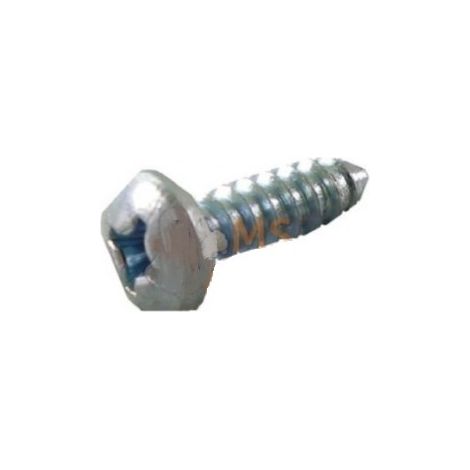 21437 - Vis Tôle B 4.2X13mm OUTILS WOLF