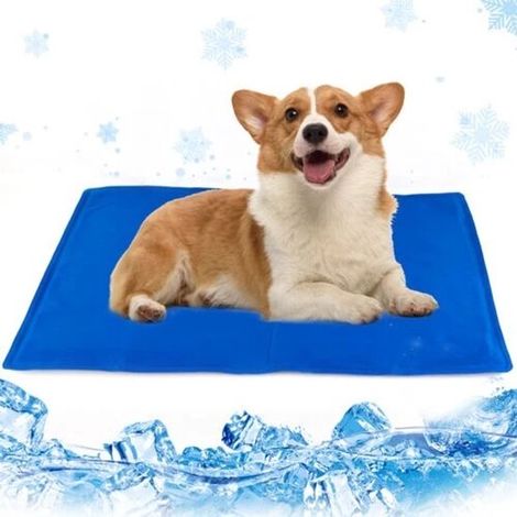 Tappetino rinfrescante per animali domestici ad attivazione a pressione media per cani e gatti - 50x40 cm (1/5)
