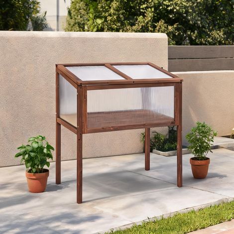 Serre de jardin surélevée 90 x 50 x 93 cm en bois (1/5)