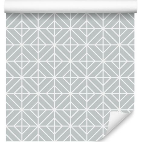 Carta da parati retrò per soggiorno e camera da letto 50x1000 cm (1/5)