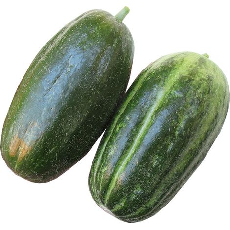 Semi di carosello "Spuredda leccese verde" piante per orto e giardino