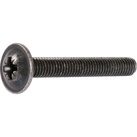 Trl Pozi Z black shutter screw 6x16