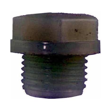 Bouchon de vidange TECUMSEH - TECNAMOTOR 29320009