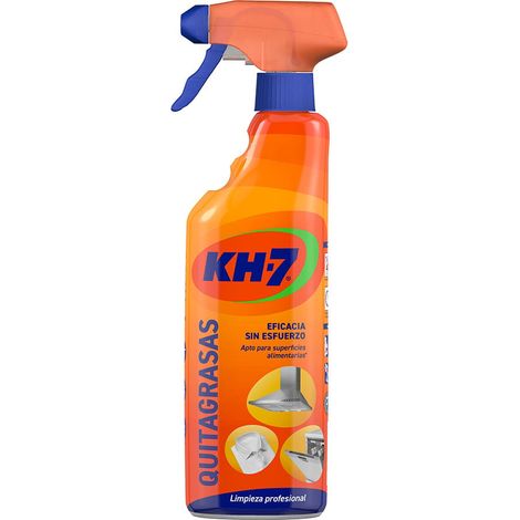 Nettoyant quitagrasas 650ml – Pulvérisateur pour surfaces alimentaires – Élimine les graisses tenaces – Formule professionnelle – Liderpapel