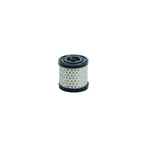 Filtre a air briggs amp stratton 2 5km horizontal vertical 396424 204389823 204389823