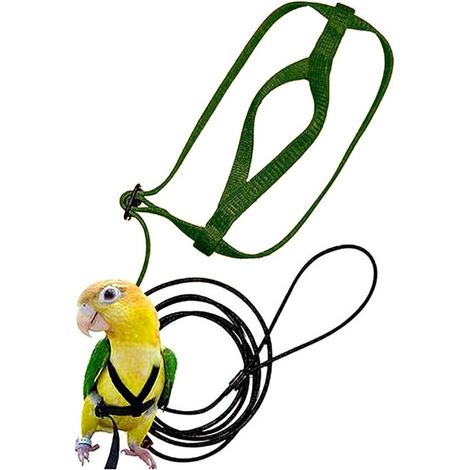 Harnais et longe réglables pour oiseaux - Équipement d'entraînement - Pour amazones à nuque jaune, cacatoès roses, perroquets petits à moyens - Convient aux oiseaux avec tour de poitrine jusqu'à 62 cm (1/5)