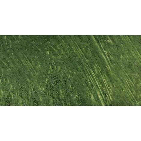 Williamsburg huile couleur 37ml italienne Terra Verte