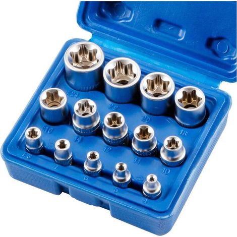 Lot de 14 douilles Torx femelles E4-E24 E-Torx hexagonales.. (1/5)